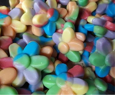 Multicoloured Flower Petals